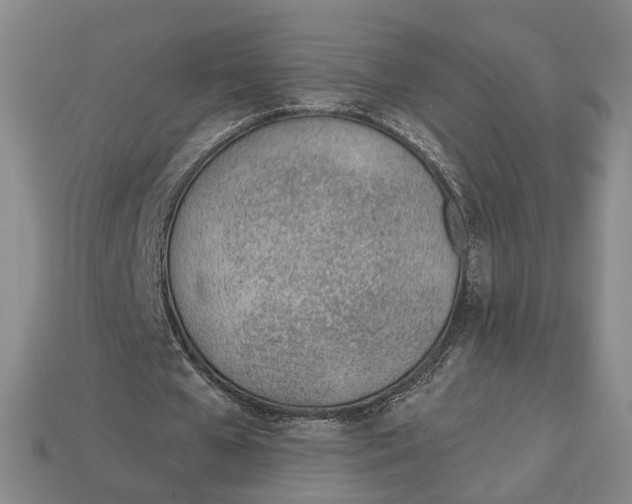 X0000112980577200909241222