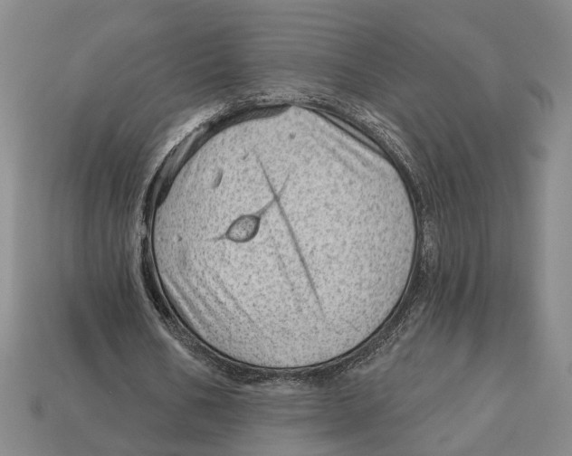 X0000112980578200909241222