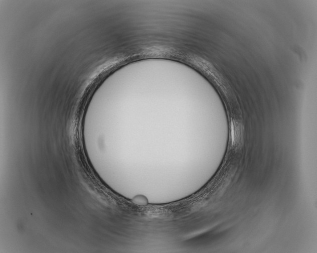 X0000112980579200909241222