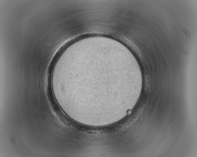 X0000112980580200909241222