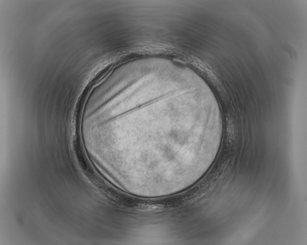 X0000112980582200909241222