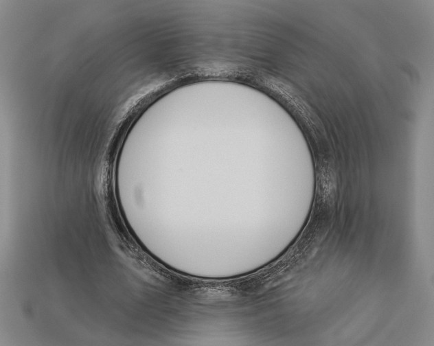X0000112980583200909241222