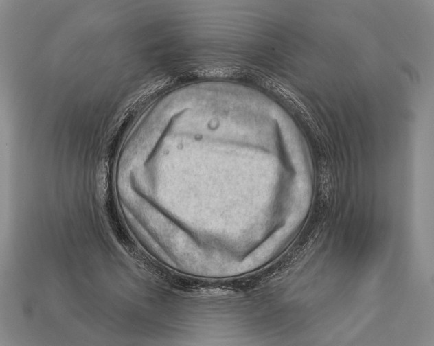 X0000112980586200909241222