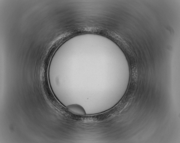 X0000112980587200909241222