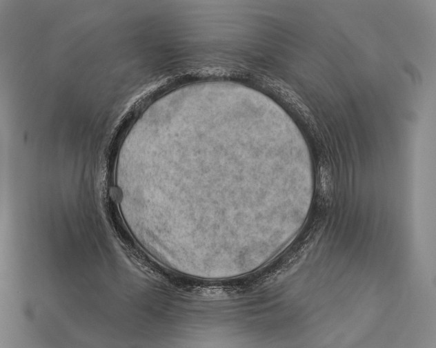 X0000112980588200909241222