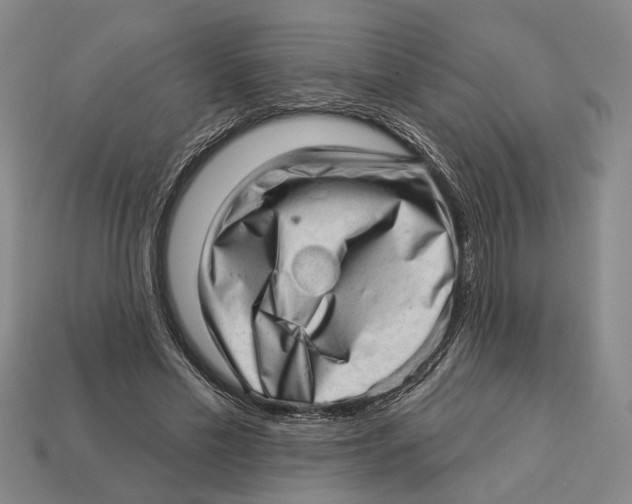 X0000112980589200909241222