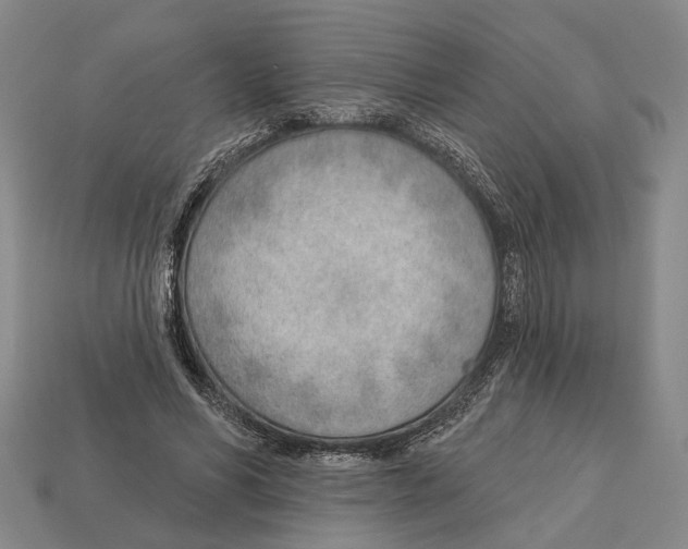 X0000112980590200909241222