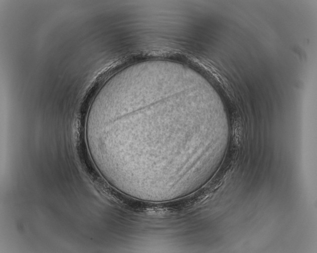 X0000112980591200909241222