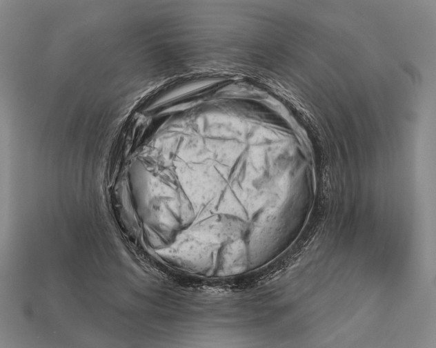 X0000112980592200909241221