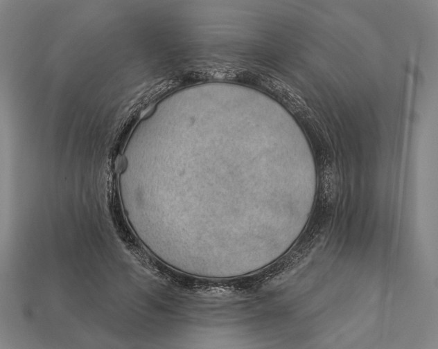 X0000112980594200909241221