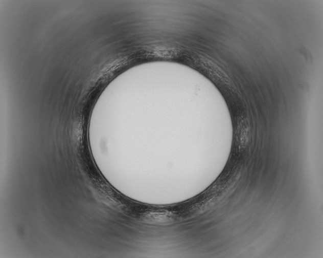 X0000112980595200909241221