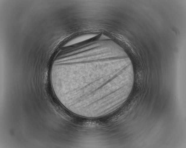 X0000112980596200909241221