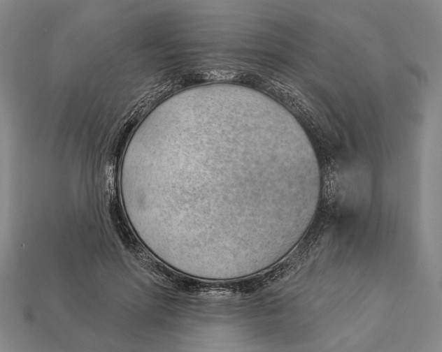 X0000112980598200909241221