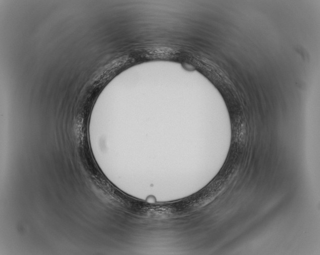 X0000112980599200909241221