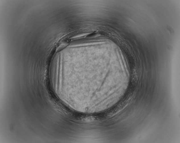 X0000112980600200909241221
