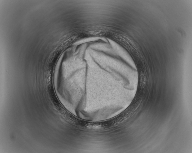 X0000112980602200909241221