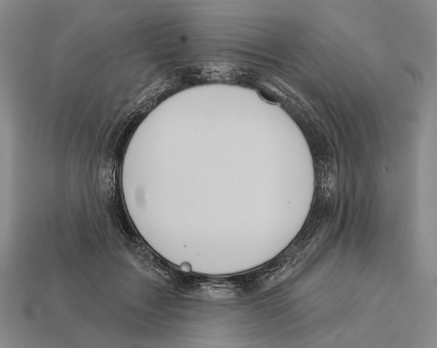 X0000112980603200909241221