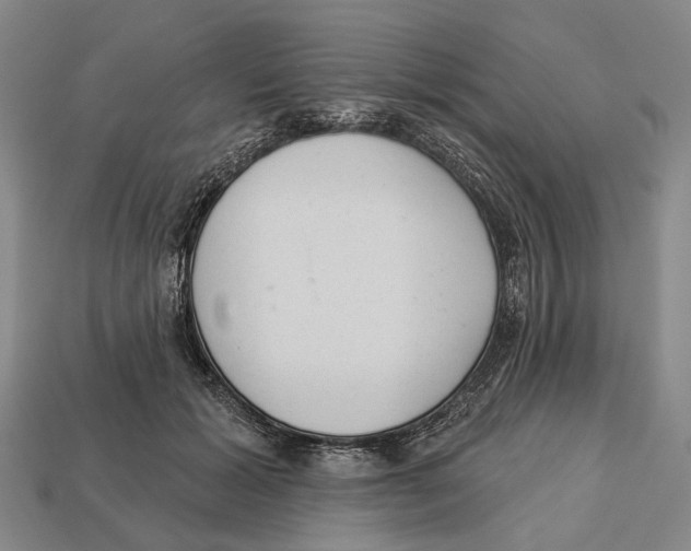 X0000112980605200909241221