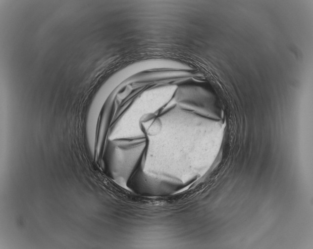 X0000112980609200909241221