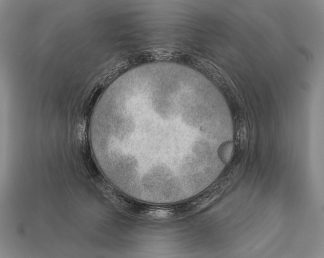 X0000112980610200909241221