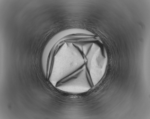 X0000112980611200909241221