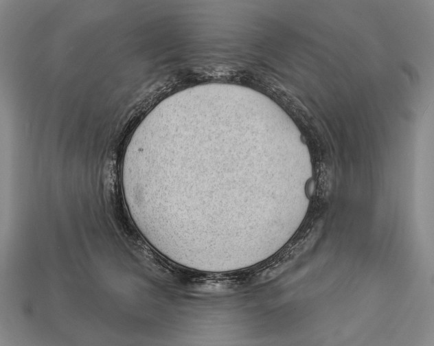 X0000112980612200909241221