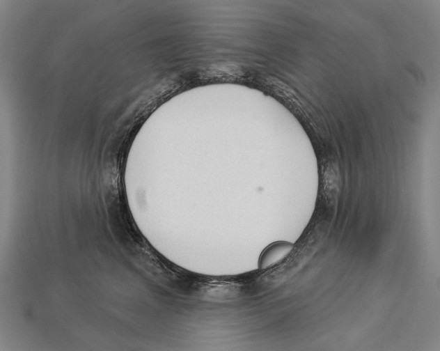 X0000112980617200909241221