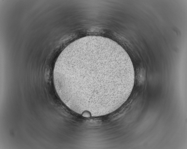 X0000112980619200909241221