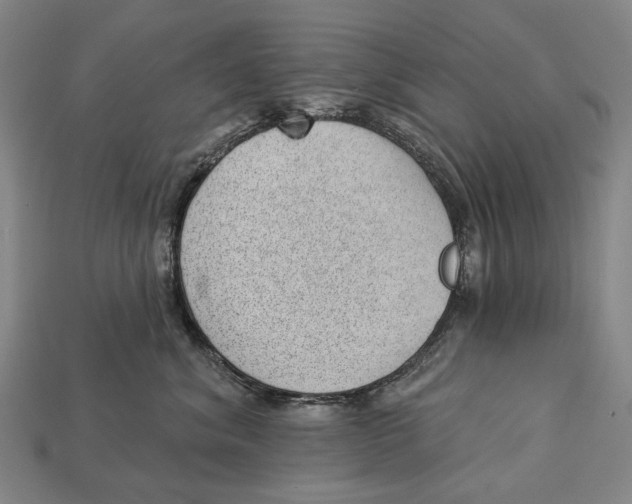 X0000112980620200909241221