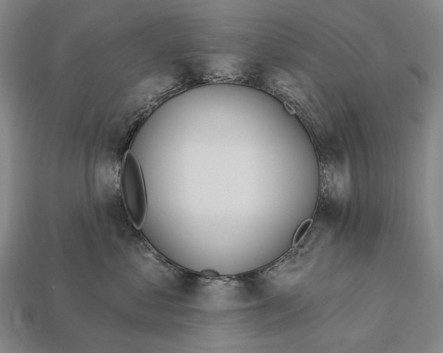 X0000112980621200909241221