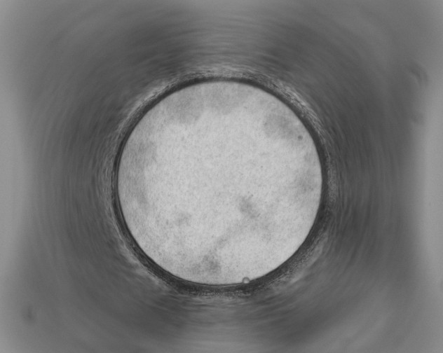 X0000112980625200909241220