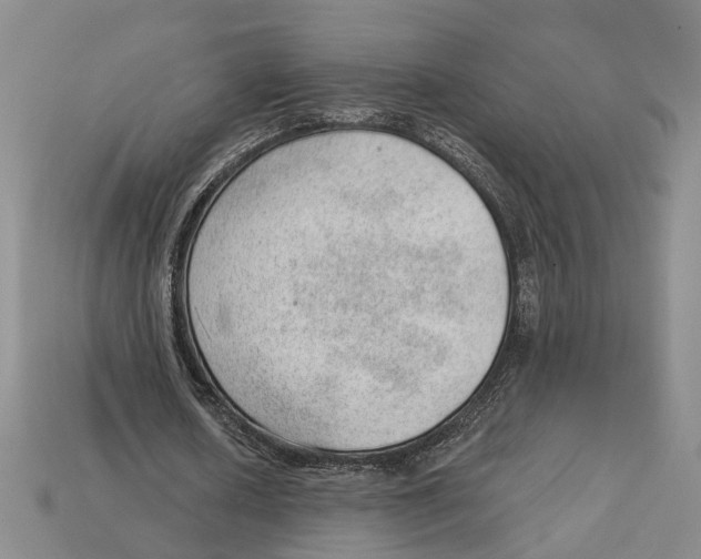 X0000112980626200909241220