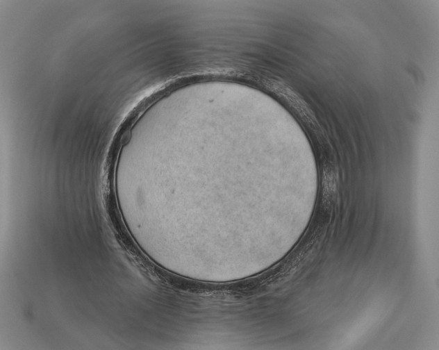X0000112980628200909241221
