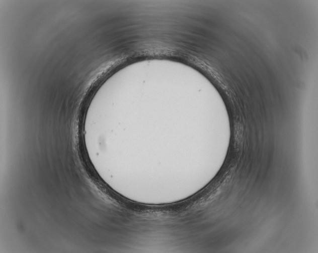 X0000112980629200909241221