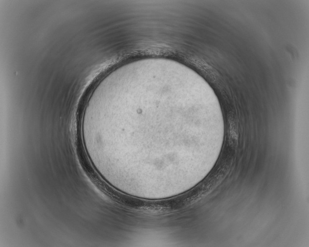 X0000112980630200909241221