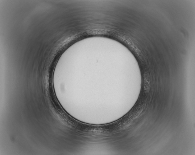 X0000112980631200909241221