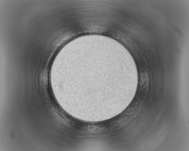 X0000112980632200909241221