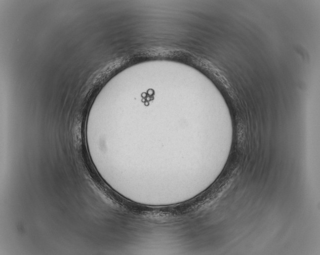 X0000112980633200909241221