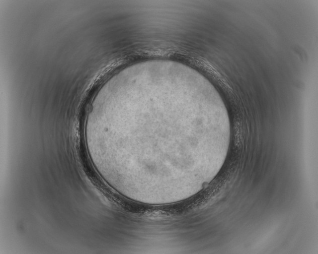 X0000112980634200909241221