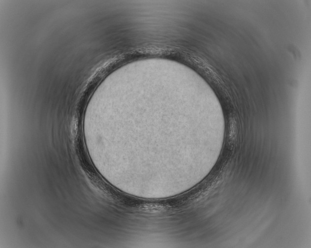 X0000112980636200909241221