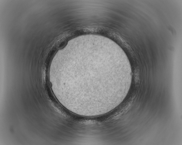 X0000112980637200909241221