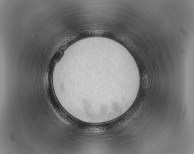 X0000112980638200909241221