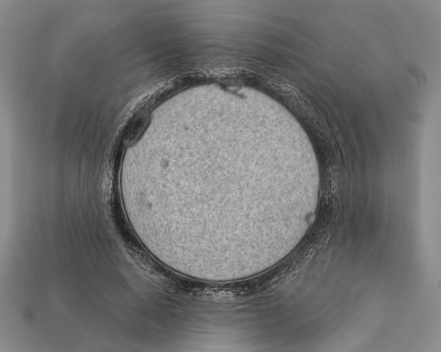 X0000112980640200909241221