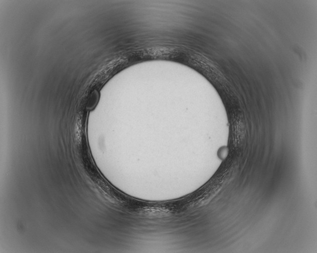X0000112980644200909241221