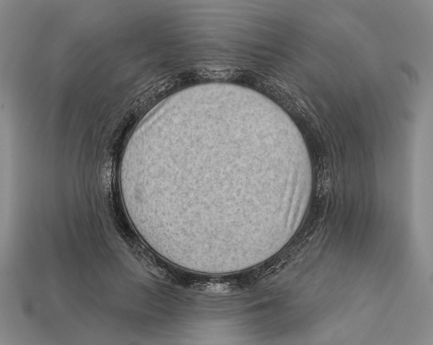 X0000112980647200909241221