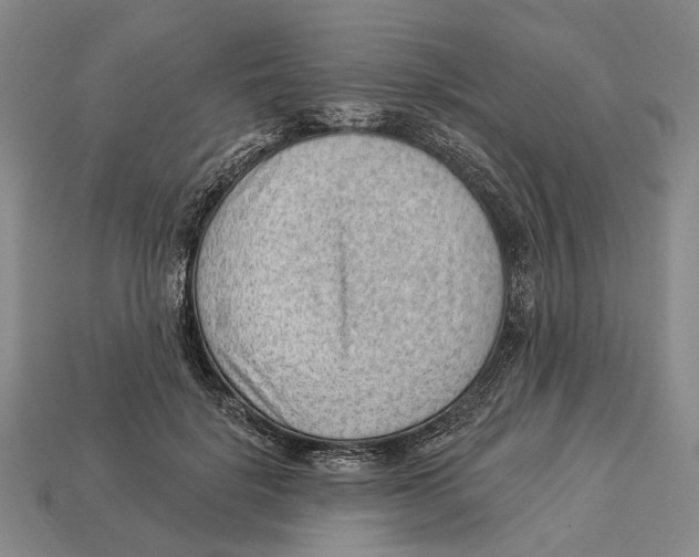 X0000112980652200909241221