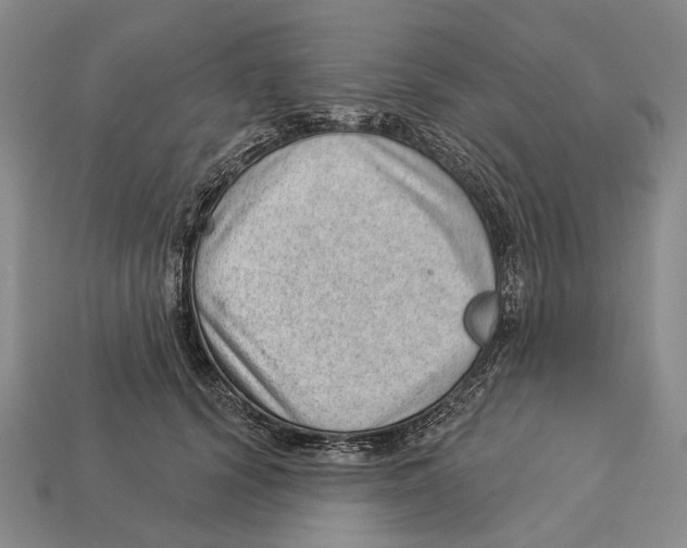 X0000112980656200909241221