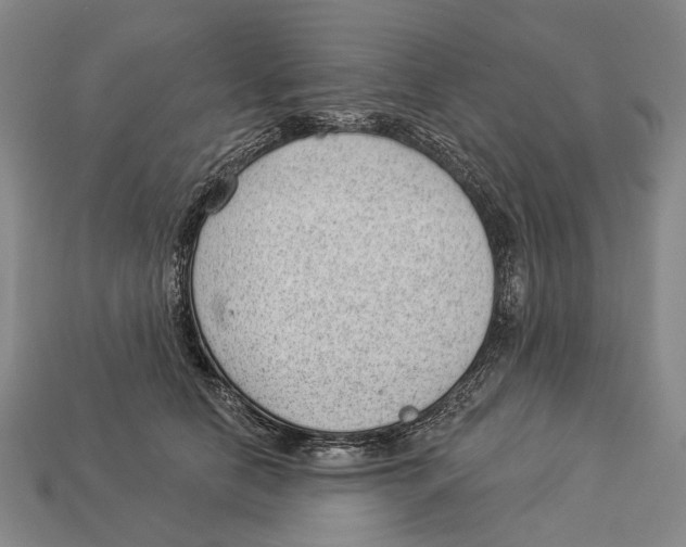 X0000112980658200909241221