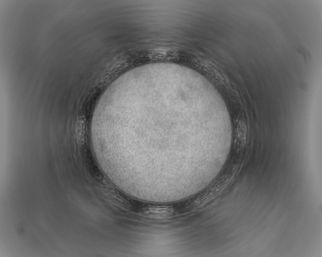 X0000112980659200909241221
