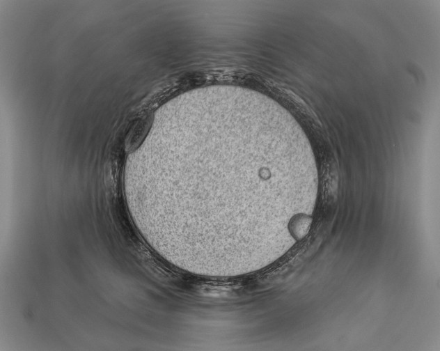 X0000112980661200909241221